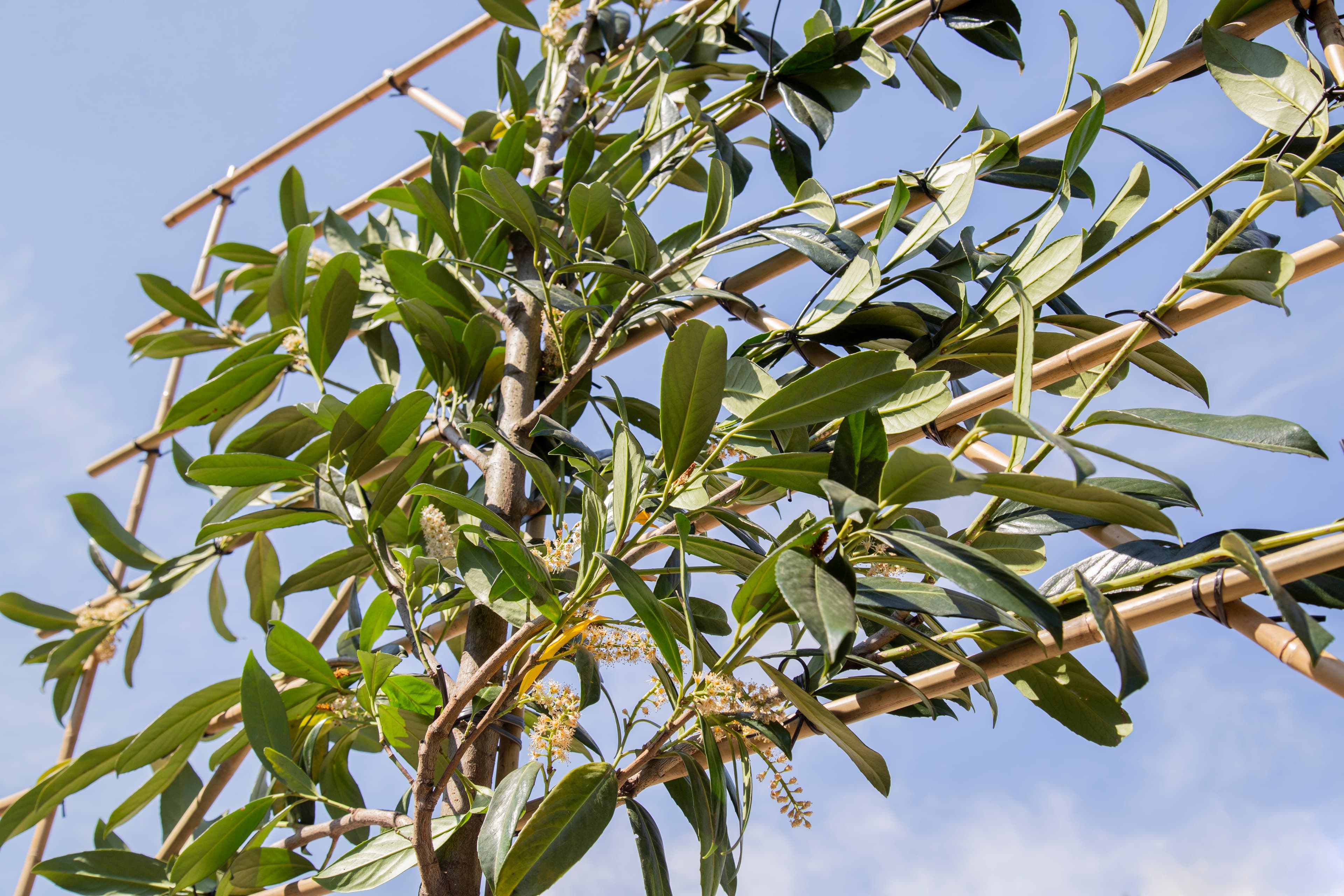 Lesen Sie unsere Tipps