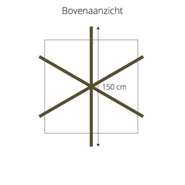 Dachplatane in Kreuzform