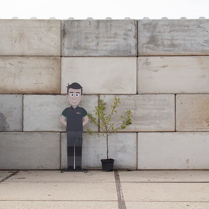 Süße Pflaume 'Victoria'